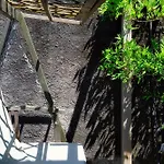 Wisteria On * Como