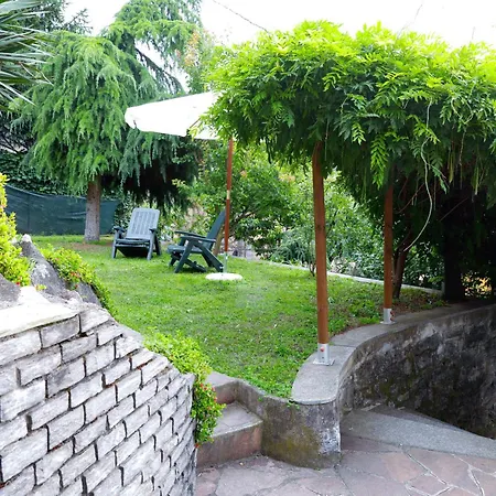 Daire Wisteria On *