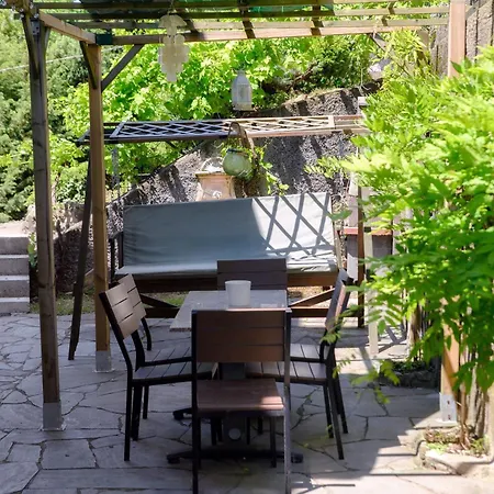 Wisteria On Daire