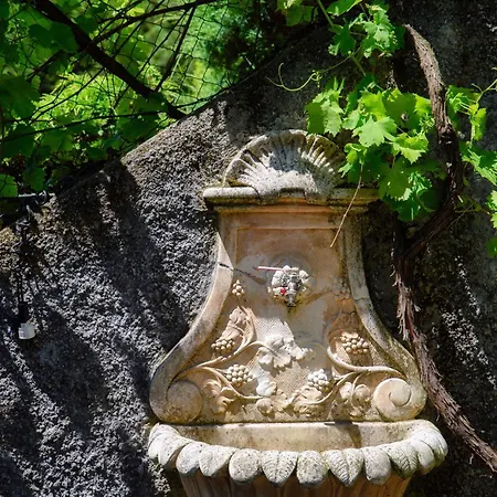 Wisteria On *