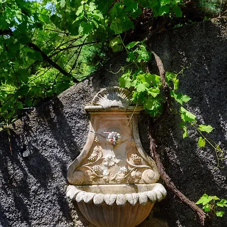 Daire Wisteria On *