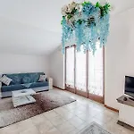 Wisteria On * 코모