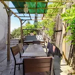 Wisteria On *